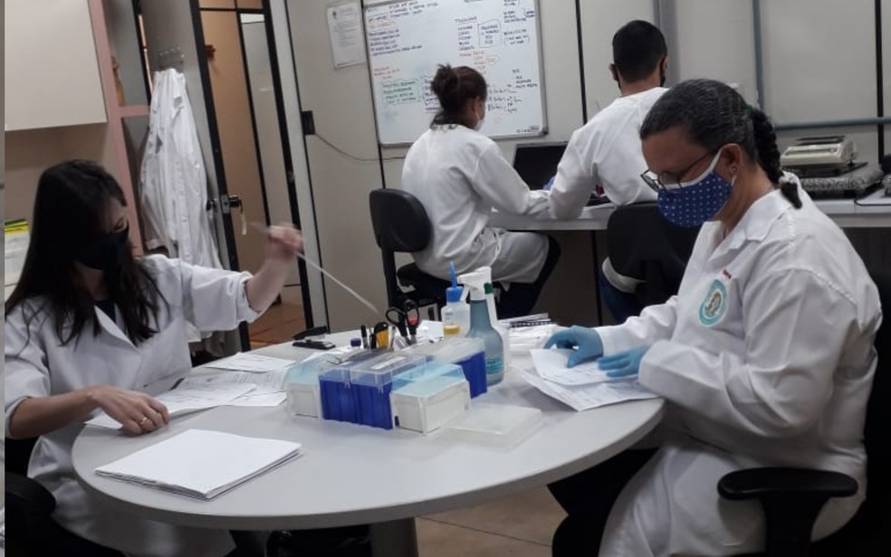 Sementes ‘misteriosas’ que clientes receberam pela internet são analisadas por laboratório de Goiás — Foto: Giovana Dourado/ TV Anhanguera