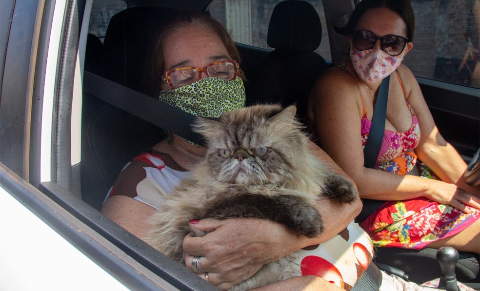 Gato é abençoado por diácono no dia de São Francisco de Assis, em Ribeirão Preto, SP — Foto: Pastoral da Comunicação/Divulgação