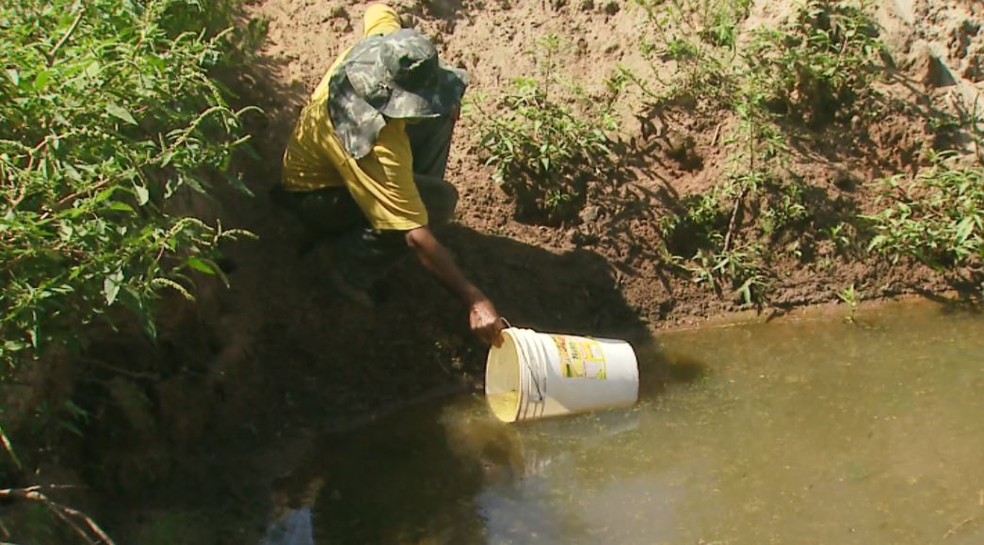 Produtor rural de Casa Branca abriu uma cacimba para matar a sede das galinhas e dos porcos. — Foto: Ely Venâncio/EPTV