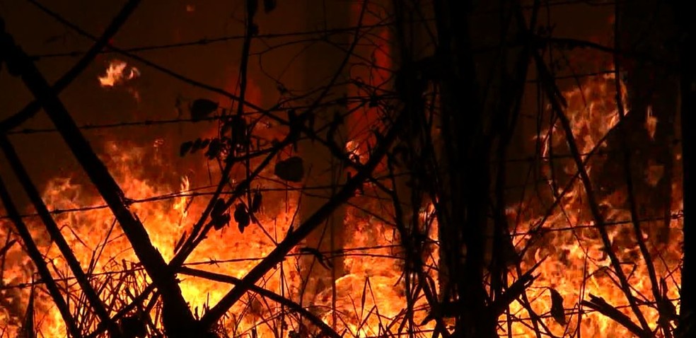 Incêndio atinge área de preservação ambiental em Vinhedo (SP) — Foto: Reprodução/EPTV