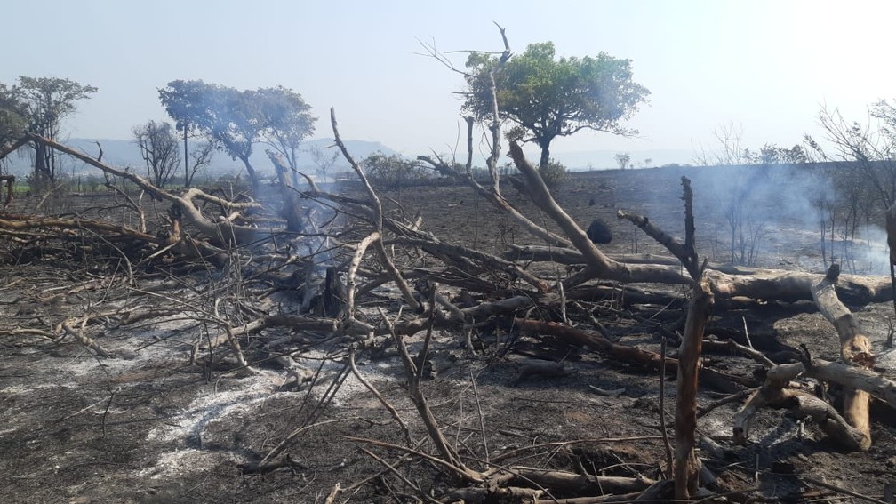 Incêndio atinge mata ao lado de Aeroporto de São Pedro — Foto: Edijan Del Santo/EPTV