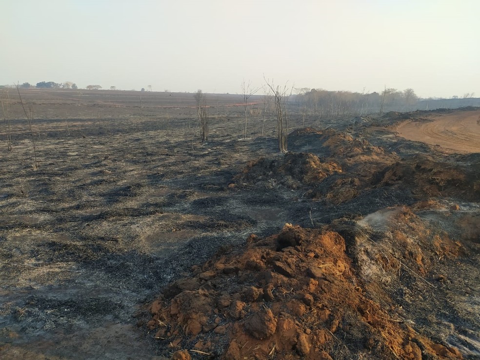 Área que pegou fogo na região de Itapura e funcionário de usina morreu — Foto: Rafael Honorato/TV TEM