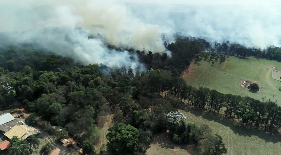 Incêndio atinge área de mata em Vinhedo desde domingo — Foto: Reprodução/EPTV