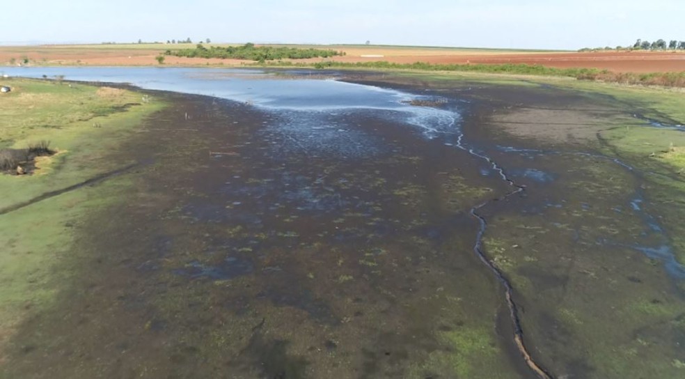 Produtores rurais de Casa Branca não conseguem mais usar água da Lagoa do Aterradinho. — Foto: Ely Venâncio/EPTV