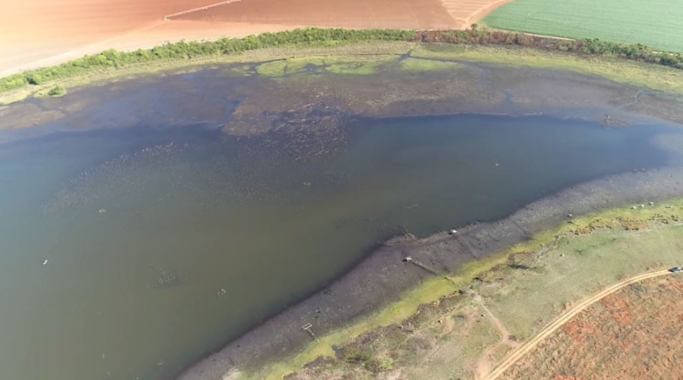 Produtores rurais de Casa Branca não conseguem mais usar água da Lagoa do Aterradinho. — Foto: Ely Venâncio/EPTV