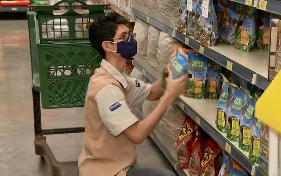 Mercado pet gerou 2,4 milhões de empregos em 2019, segundo a Abinpet — Foto: TV TEM/Reprodução
