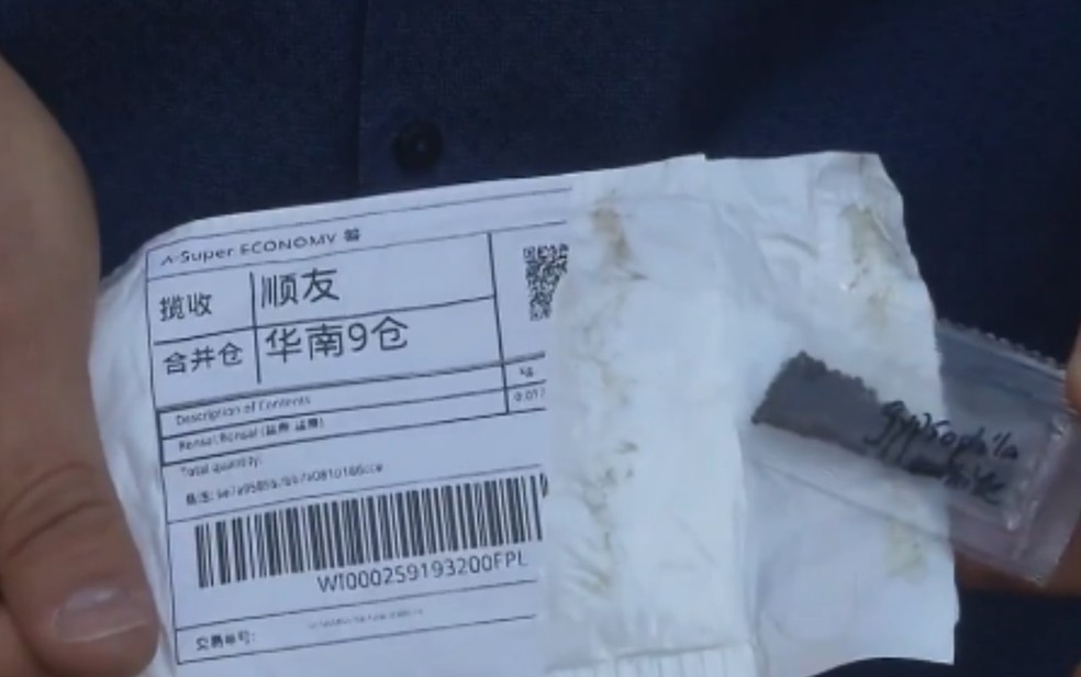 Agrodefesa de Goiás analisa sementes misteriosas que brasileiros receberam junto com compras on-line — Foto: Reprodução TV Anhanguera