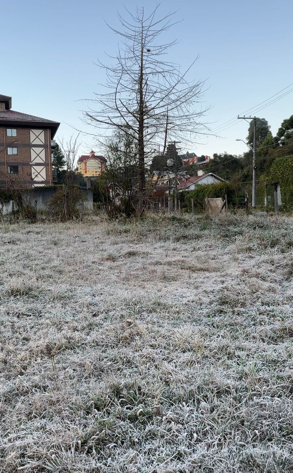 Após bater recorde de frio, Campos do Jordão tem mais uma noite gelada e registra 1,3°C