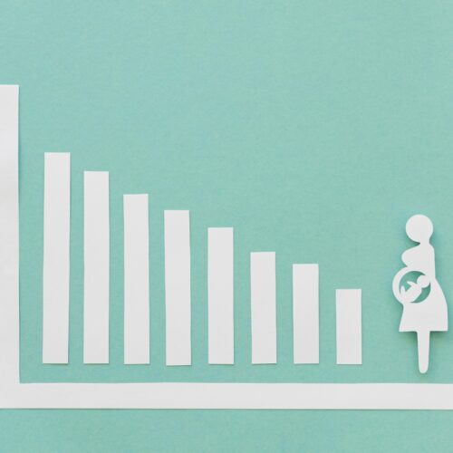 O Impacto das Cotas de Gênero na Política Partidária: Um Estudo Comparado na América Latina