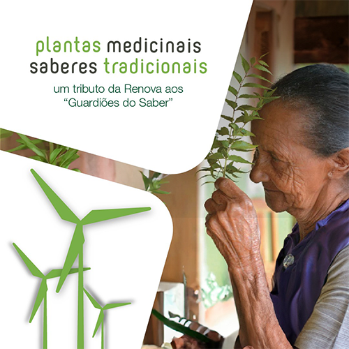 Renova Energia comemora 10 anos de publicação de livro que reúne histórias e preserva conhecimento sobre plantas medicinais do semiárido