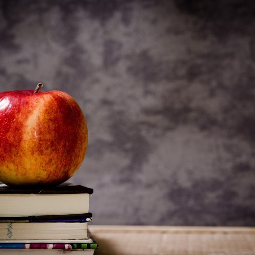 Apoio emocional para lidar com ambiente digital pode determinar escolha de escola