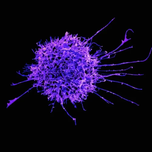 Descoberta revolucionária: cientistas revelam a chave para desligar genes ligados ao câncer de forma permanente