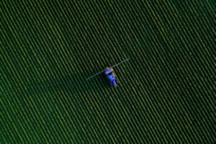Mato Grosso do Sul alcança novo marco em geração de empregos e diminui a dependência do Bolsa Família em 2025