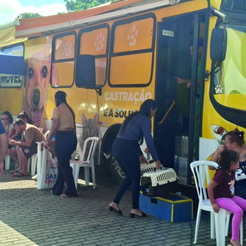 Cerca de 300 animais são castrados gratuitamente em Poá por meio de mutirão com o Instituto Luisa Mell
