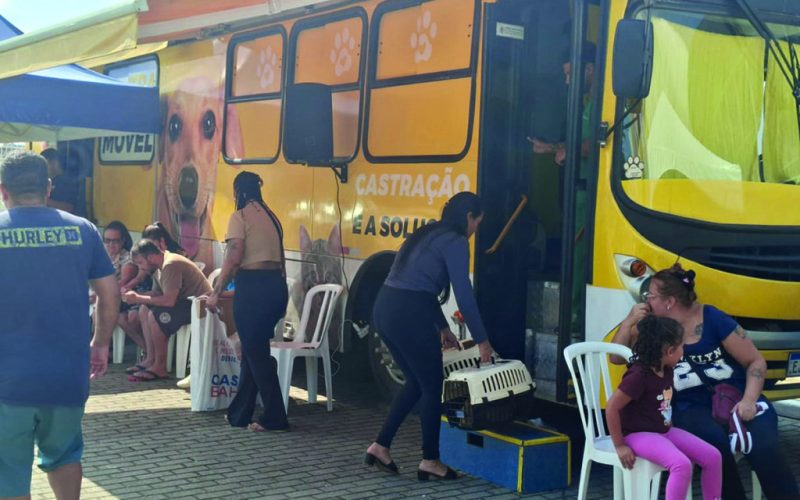 Cerca de 300 animais são castrados gratuitamente em Poá por meio de mutirão com o Instituto Luisa Mell