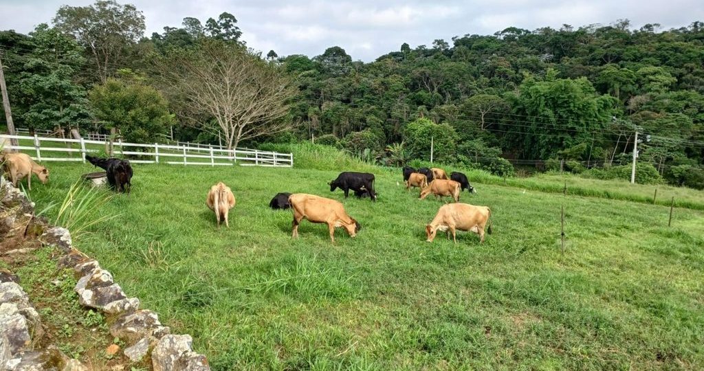 I Encontro de Campo sobre Leite Sustentável no Alto Tietê