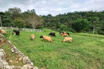 I Encontro de Campo sobre Leite Sustentável no Alto Tietê