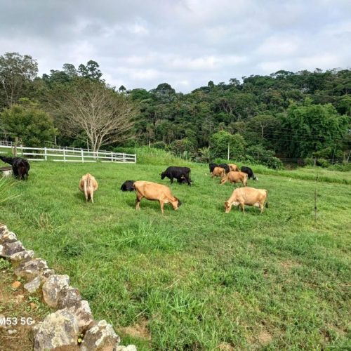 I Encontro de Campo sobre Leite Sustentável no Alto Tietê